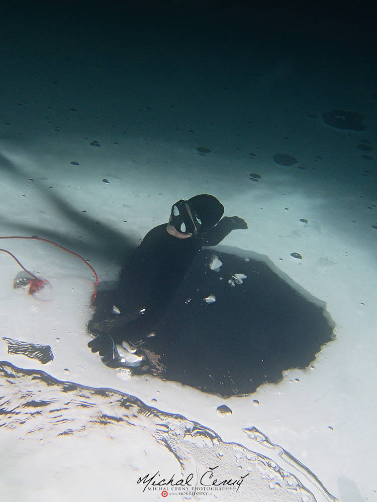 freediver pod ledem